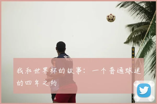 我和世界杯的故事：一个普通球迷的四年之约