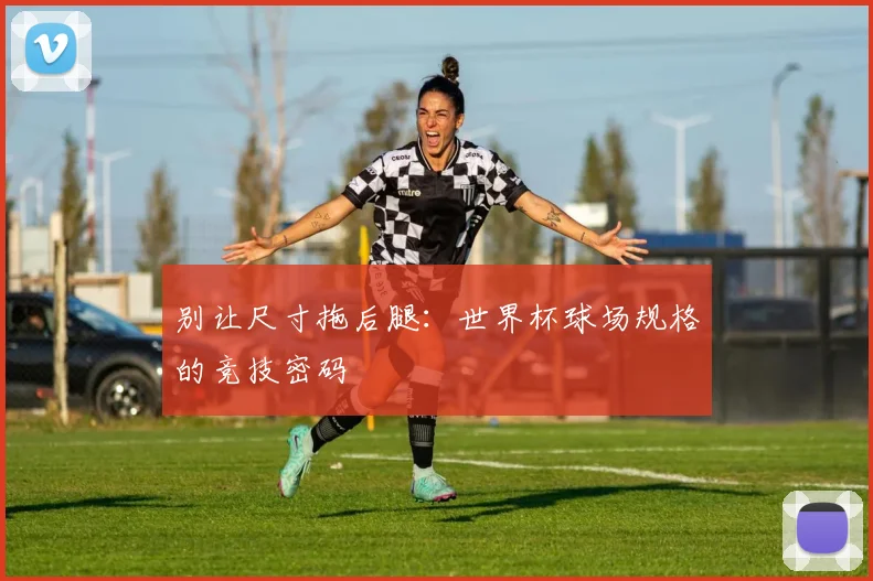 别让尺寸拖后腿:世界杯球场规格的竞技密码