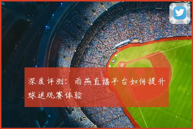 深度评测：雨燕直播平台如何提升球迷观赛体验